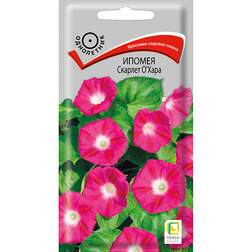 ������ ������ ������ ������� �`����   ����