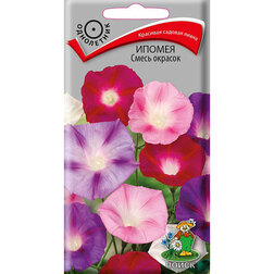 ������ ������ ������ ����� �������   ����