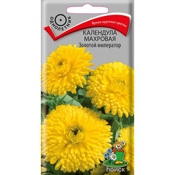 ������ ������ ��������� �������� ������� ���������   ����