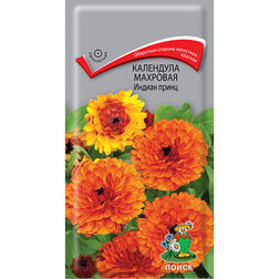 ������ ������ ��������� �������� ������ �����   ����