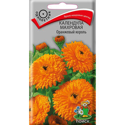 ������ ������ ��������� �������� ��������� ������   ����