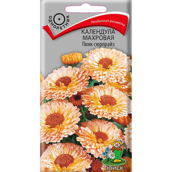 ������ ������ ��������� �������� ���� ��������   ����