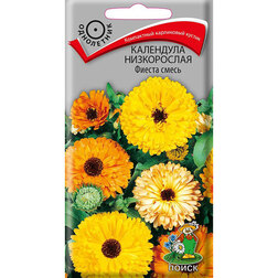 ������ ������ ��������� ����������� ������ �����   ����