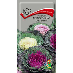 ������ ������ ������� ������������ ����� �������   ����