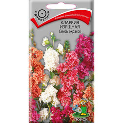 ������ ������ ������� ������� ����� �������   ����