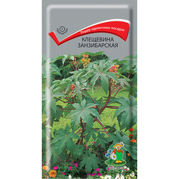 ������ ������ ��������� ������������   ����