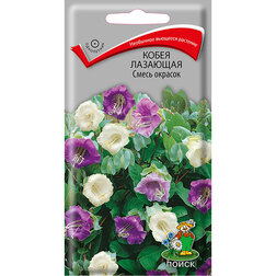 ������ ������ ����� �������� ����� �������   ����