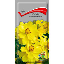 ������ ������ ������ ��������� �����   ����