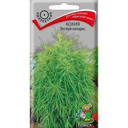 ������ ������ ����� ������ �������   ����