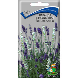 ������ ������ ������� ����������� ������� � �������   ����