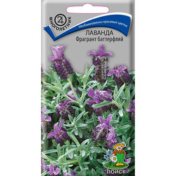 ������ ������ ������� �������� ����������   ����