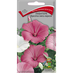 ������ ������ �������� �������� ����� �������   ����