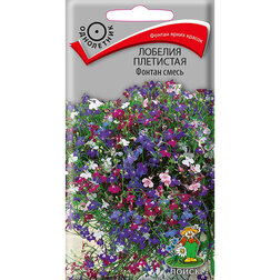 ������ ������ ������� ��������� ������ �����   ����