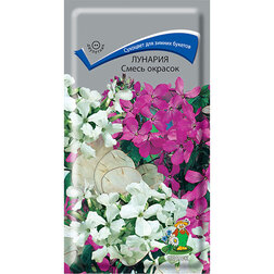 ������ ������ ������� ����� �������   ����