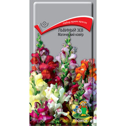 ������ ������ ������� ��� ���������� ����   ����