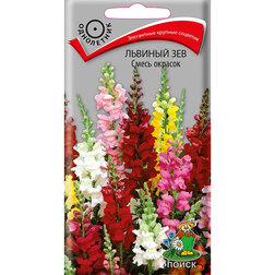 ������ ������ ������� ��� ����� �������   ����