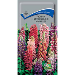 ������ ������ ����� ����������� �������   ����