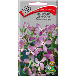 ������ ������ �������� �������� ������-�������   ����