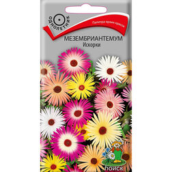 ������ ������ ��������������� �������   ����