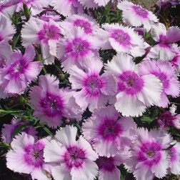 ������ ������ �������� ����� �������� ������ (1��-1000��)   ����