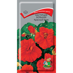 ������ ������ ��������� ������� ������� ����   ����