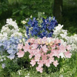 ������ ������ ���������� ����������� ������ ������ (1��-1000��) ���������������� ������   ����