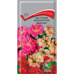 ������ ������ ��������� ����������� ������ ����   ����