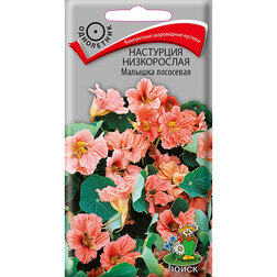 ������ ������ ��������� ����������� ������� ���������   ����