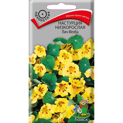 ������ ������ ��������� ����������� ��� �����   ����