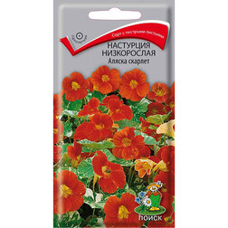 ������ ������ ��������� ����������� ������ �������   ����