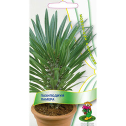 ������ ������ ���������� ������ ���������   ����