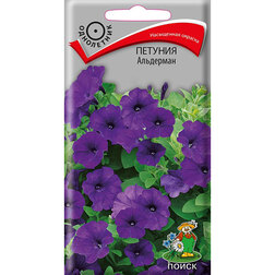 ������ ������ ������� ���������   ����