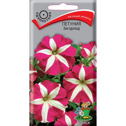 ������ ������ ������� ���������   ����