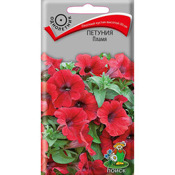 ������ ������ ������� �����   ����