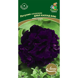 ������ ������ ������� �������� ���� ������ ���   ����