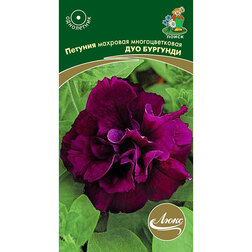 ������ ������ ������� �������� �������������� ��� ��������   ����