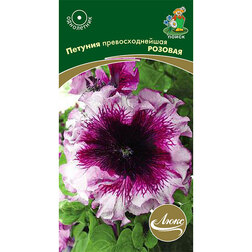 ������ ������ ������� ��������������� �������   ����