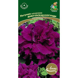 ������ ������ ������� �������� ���� ������ ��������   ����