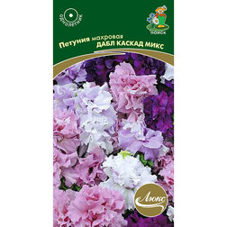 ������ ������ ������� �������� ���� ������ ����   ����