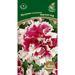 ������ ������ ������� �������� ������� ���   ����