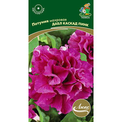 ������ ������ ������� �������� ���� ������ ����   ����