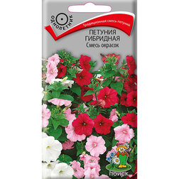 ������ ������ ������� ��������� ����� �������   ����