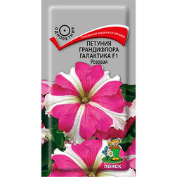 ������ ������ ������� ����������� ��������� F1 �������   ����