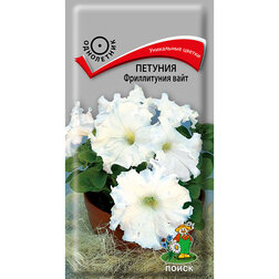 ������ ������ ������� ����������� ����   ����