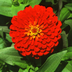 ������ ������ ������ ������ ������� (1��-1000 ��)���������������� ������   ����