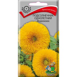 ������ ������ ������������ ���������� ����������   ����