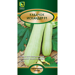 ������ ������ ������� �������� F1   ����