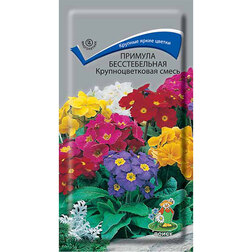 ������ ������ ������� ������������� ��������������� �����   ����