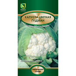 ������ ������ ������� ������� ������   ����