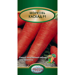 ������ ������ ������� ������ F1   ����